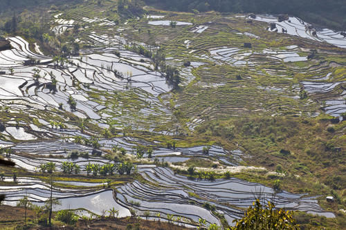 梯田|山势最险峻复杂、气势最恢宏壮观，大地雕塑最高典范，老虎嘴梯田