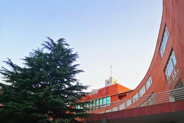 带你走进山东大学，在那里学习是什么样的体验