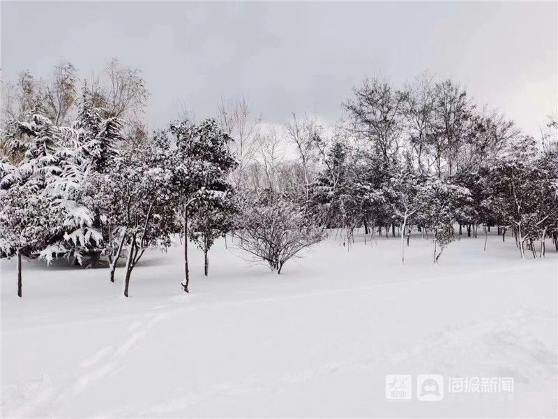 大雪|烟台今年的第一场大雪来啦!