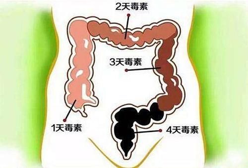 在2个时间点排便的人，偷着乐吧，你的肠道会更健康