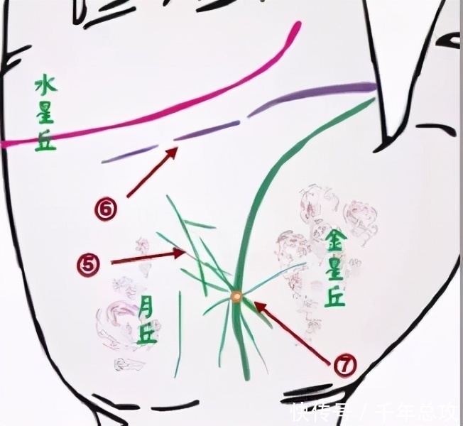 诊断|掌纹可以诊断肝癌、糖尿病、高血压、妇科病、脑溢血