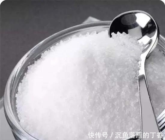 扦插|生根剂不用买，用家家都有的“小东西”，2分钟就能制出来