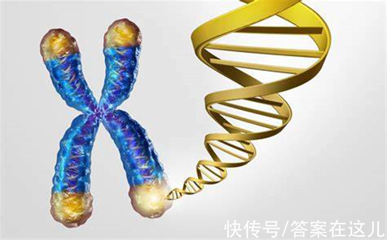 平均寿命@人类理论上能活1000岁,为何余下的900多岁,无故“消失”了?