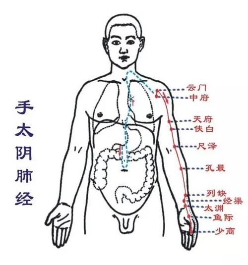 打喷|从打喷涕到癌症，只有9个步骤！原来，身体是这样防御疾病的！