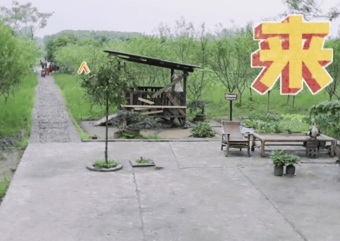 箱子|那英成《向往》最爱摆谱嘉宾,一到就怪罪人,黄磊何炅都招架不住