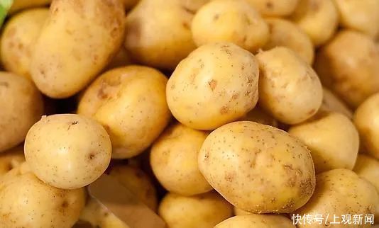 這種常見蔬菜必須炒熟煮透了才能吃