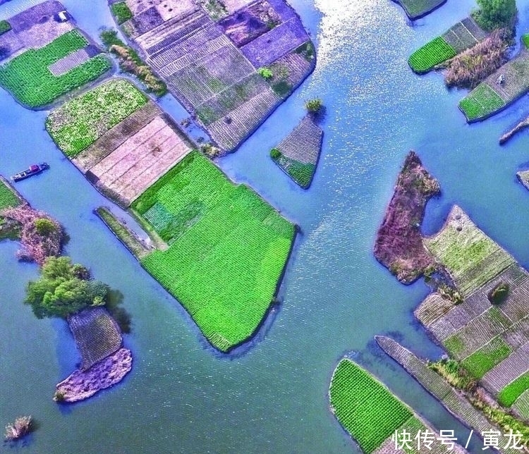 中国还有这地方田间地头的水沟,竟藏着60斤的“水老虎”