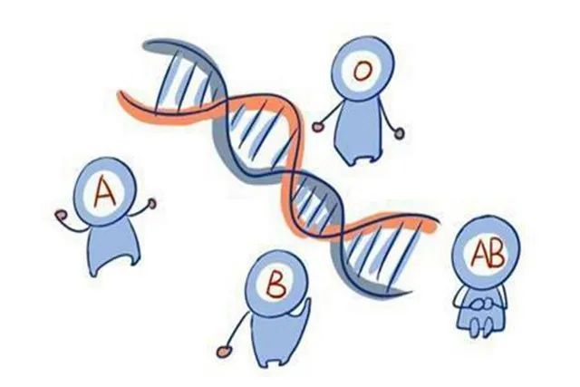 b型血|孩子血型跟聪明程度有关有一定道理妈妈别不信,你家娃啥血型