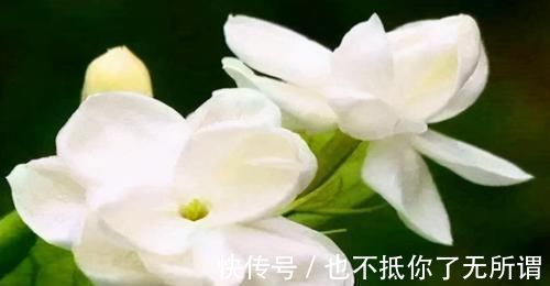 强身健体|女性爱美，推荐3种食物，女性常吃能呵护子宫，越吃越年轻