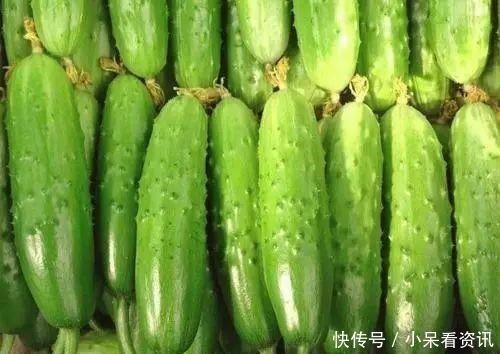 圣女果|辣椒最怕的4种解药,不是矿泉水,而是普通的它,别傻傻不明白