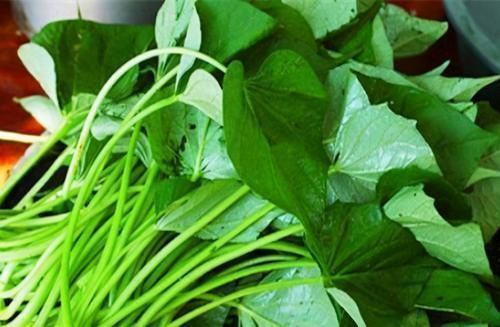 食物|聪明的人喜欢吃3种食物,排毒养颜、延缓衰老,早吃早受益!