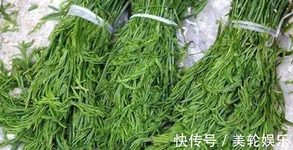 清肠排毒|女性不想妇科炎症,此菜一周食3次,活血调经,子宫也更干净!