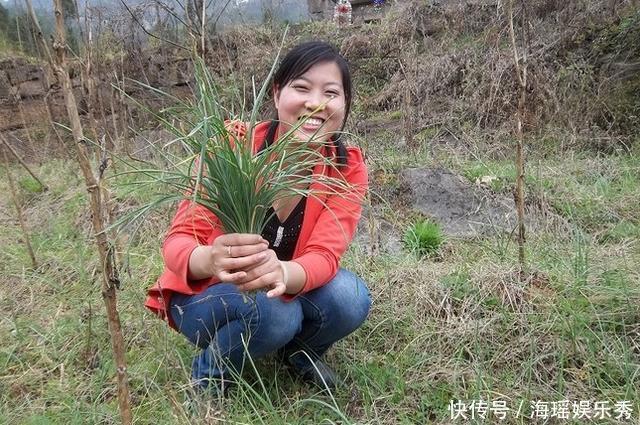 成片|长得像小葱,春季的野外成片生长,用来炒蛋简直太好吃了