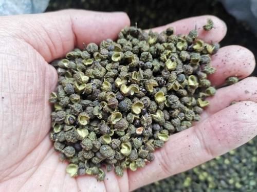 炸花椒油时,最忌直接下锅多加这1步,花椒油又香又麻,不发苦