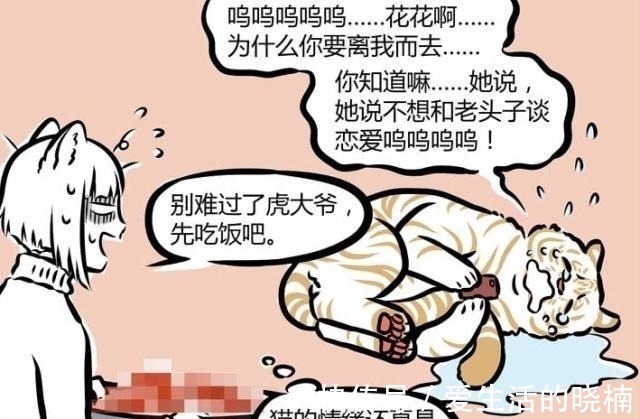 老虎|非人哉:老虎,再霸气也只是猫科动物,它也会有“失恋”的一天!