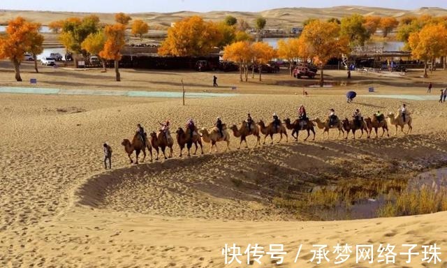 新疆|新疆这处村落地处沙漠，既不放牧也不种田，人人怡然自得，超解压