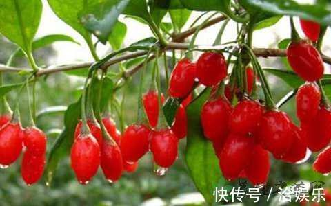 维生素p|女性抗衰先排毒，多吃3种食物，美白肌肤，延缓衰老，早吃早好