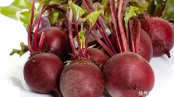 红甜菜|10种可家庭种植的优质养生野菜