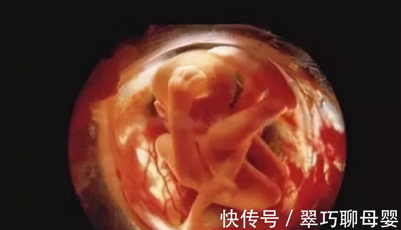 牛津大学|孕期在孕妈肚子里的胎儿，排出的便便去哪了孕妈听了别“恶心”