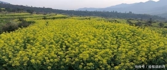 涠洲岛|去旅游，不去这三个地方将是你人生最大的遗憾！