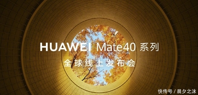 遭遇|华为Mate40遭遇泄密？国外平台提前上架商品页面，售价1199欧元