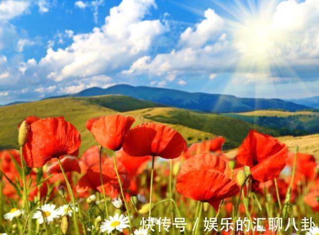 处女座|接下来三年,4个星座,埋头苦干,不惧困难,总能将苦日子变甜