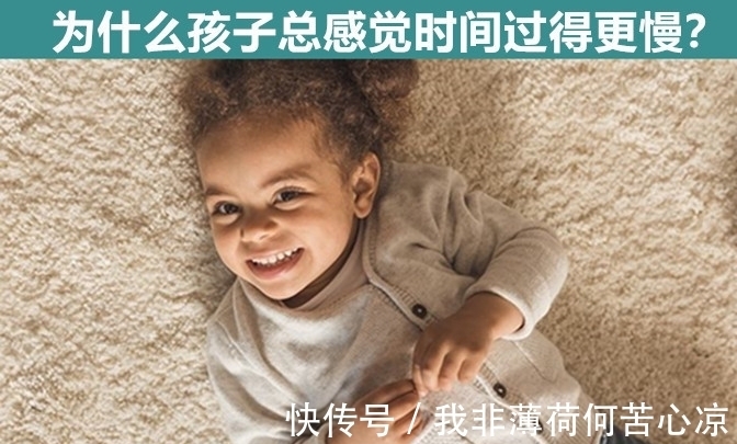 刺猬|一年不洗澡会怎么样?细数:让学霸也未必能回答上来的9个问题