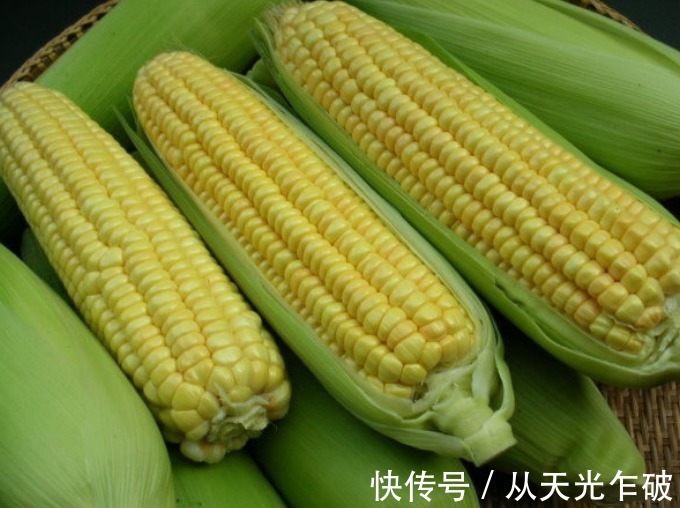 玉米冷冻前要多做2步,放1年也新鲜,煮熟后软糯香甜,营养不流失