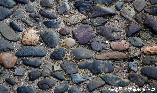 这老鹅哪里不得卖，为什么开车专门拴到岔镇来买