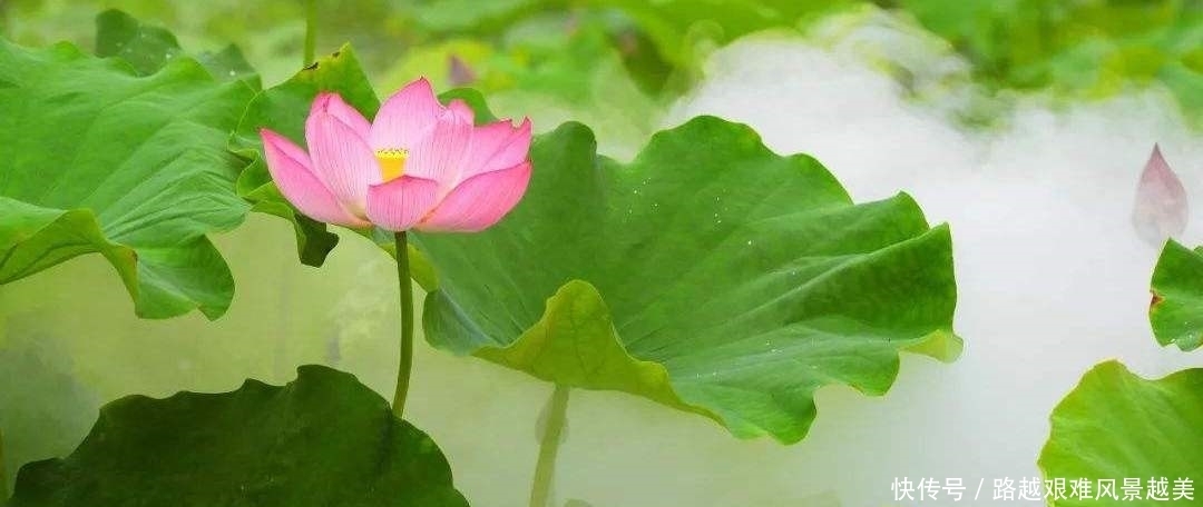 《千家诗》中的一首绝美宋人小诗,惊艳千年,最适合孤独的寒夜!