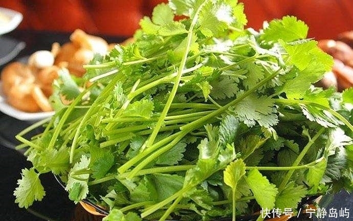香菜煮水太厉害了,竟有如此喜人的作用,值得分享给家人