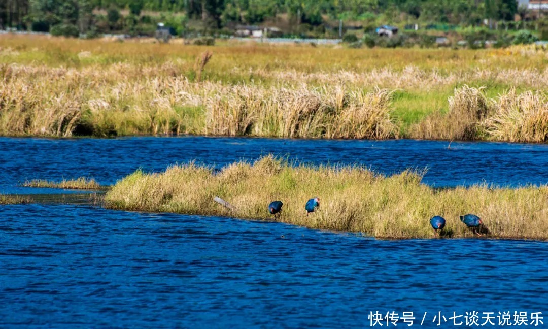 蒸汽|《妻子的浪漫旅行》腾冲站第二天