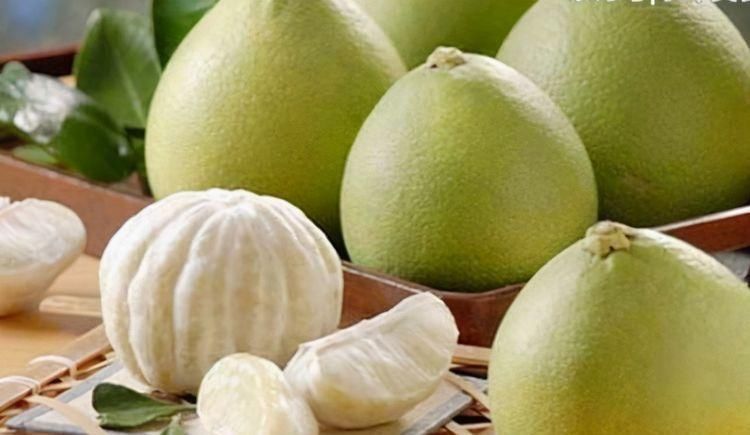 食物|人到中年,不妨多吃三种食物,健胃消食,增强食欲,爱吃就赚到