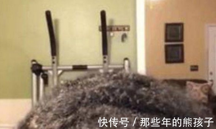 洗头|女子几年不洗头,结婚前女子开始打理头发,扒开后众人头皮发麻