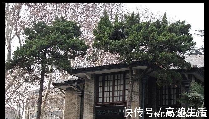 赛金花|她是诺贝尔文学奖得主，生前最大愿望是回中国，却被拒绝……