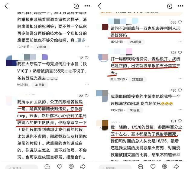 王者|王者“鹰眼护卫队”功能惹众怒？网友：一群菜鸟凭什么审判我！