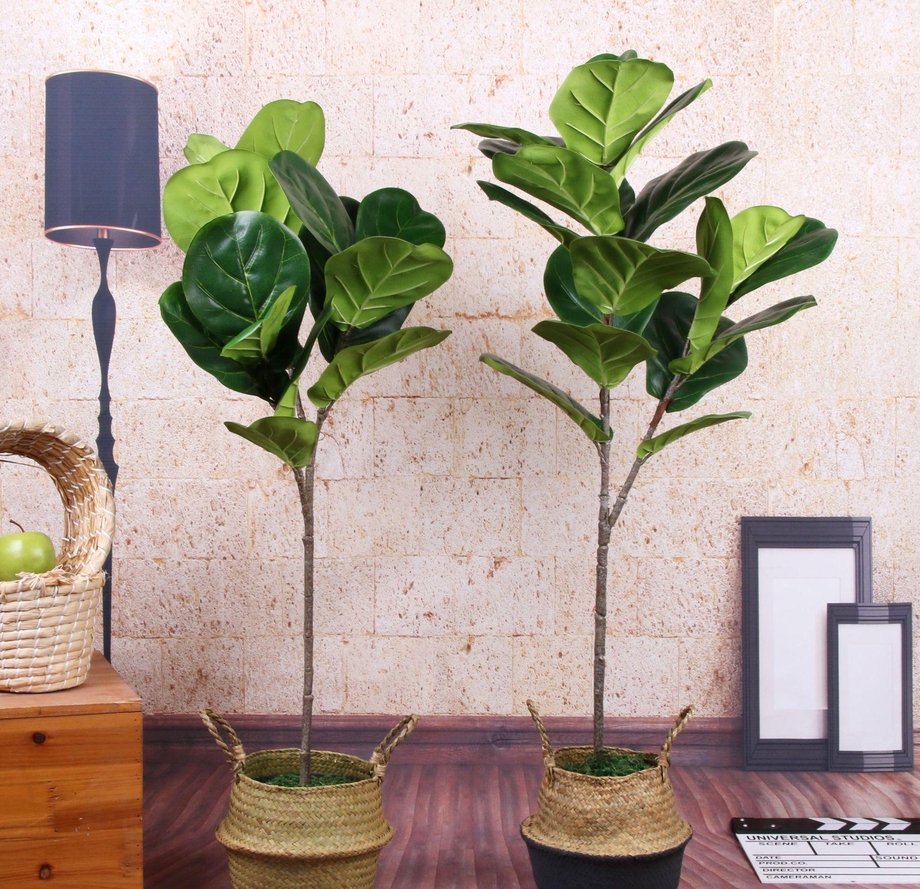 养花试试这几款，颜值高，寓意好，非常适合摆放在客厅或书房