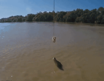 |搞笑GIF:下大雨的时候我们全班男生只需要一把伞就够了,你信不?