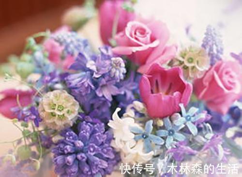慢性胃炎|一位老中医告诉我：这些中成药可以应对日常症状...