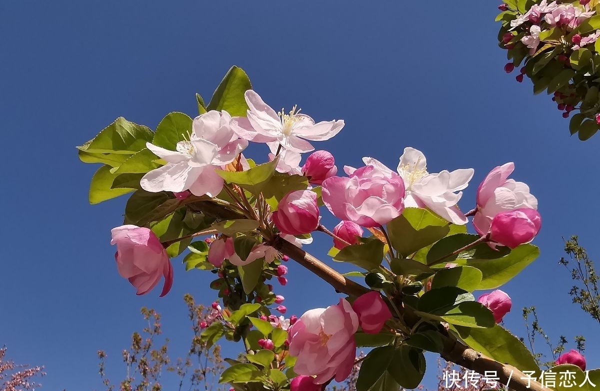 形容人生多变故的诗句 形容人生多变故的诗句