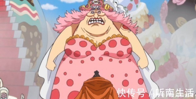 大妈|海贼王五皇的身高,白胡子不是最高的,凯多身高成迷!