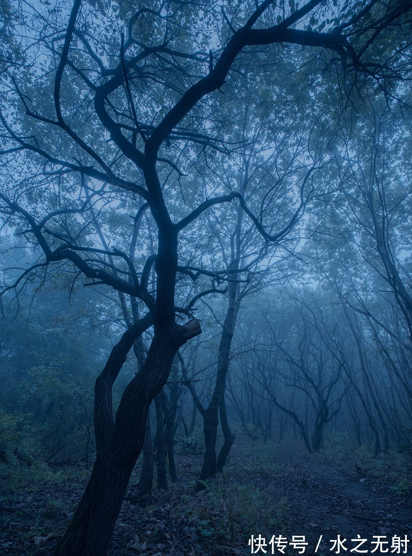 礼教@鲁迅——《狂人日记》