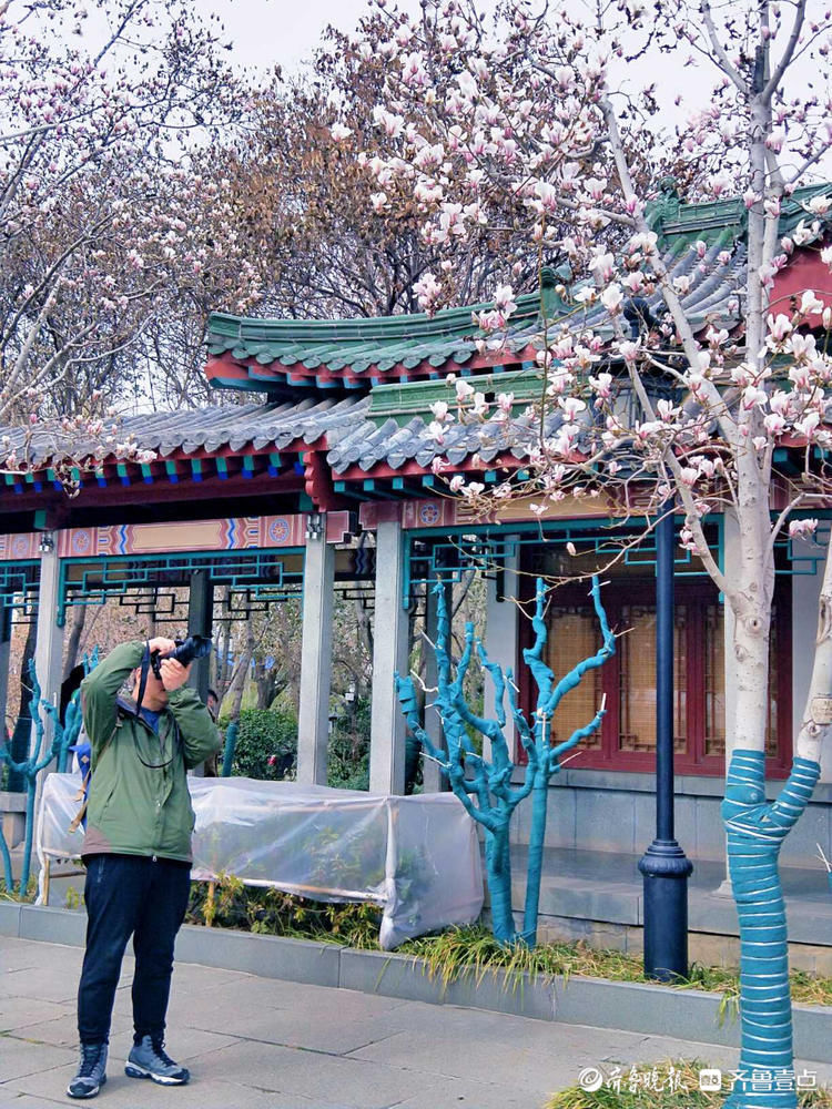 打卡济南趵突泉公园啦！感受节日里春的味道|就地过年?春在身边| 打卡济南趵突泉公园啦！感受节日里春的味道\＂,\＂i16\＂:\＂就地过年?春在身边