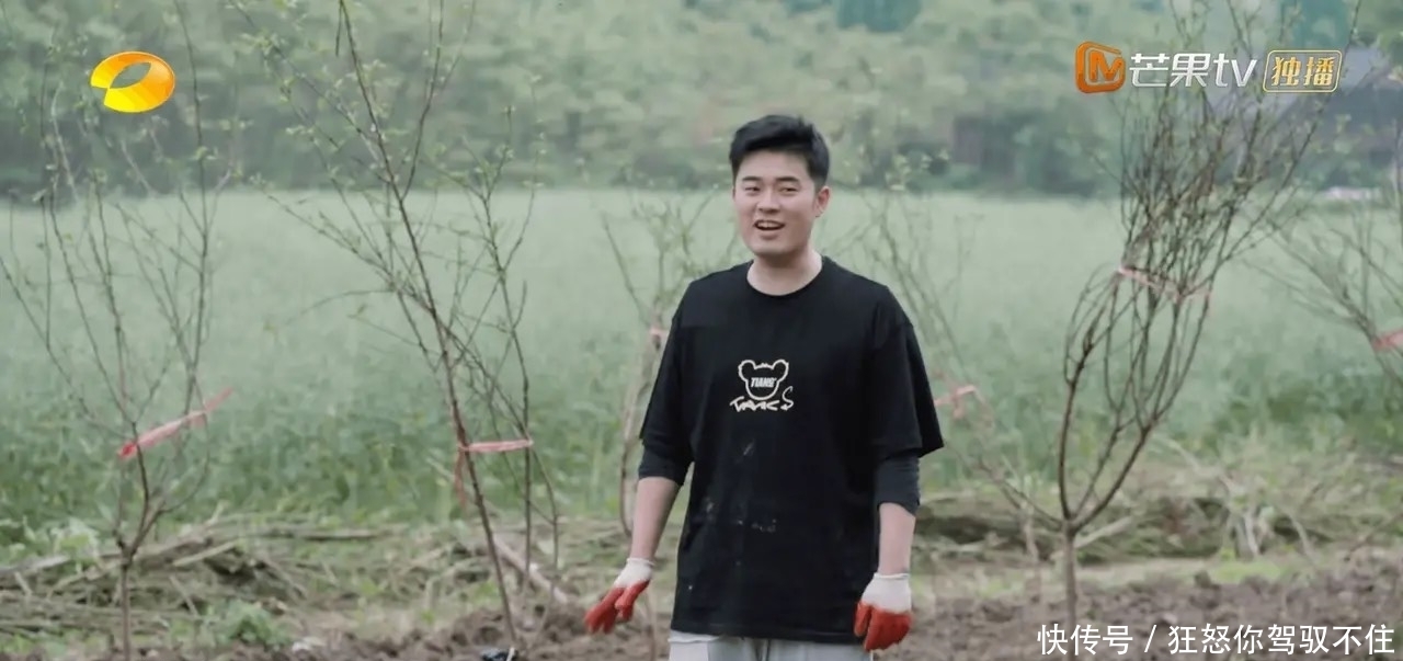 四棵树 蘑菇屋请陈赫和李诞是一个错误,除了偷懒以外,并没有带来啥看点