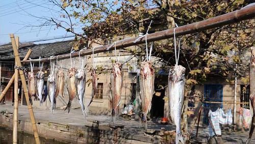 刁子鱼|它是水库有害鱼类,俗称“刁子鱼”,过去除之不尽,如今成高档货