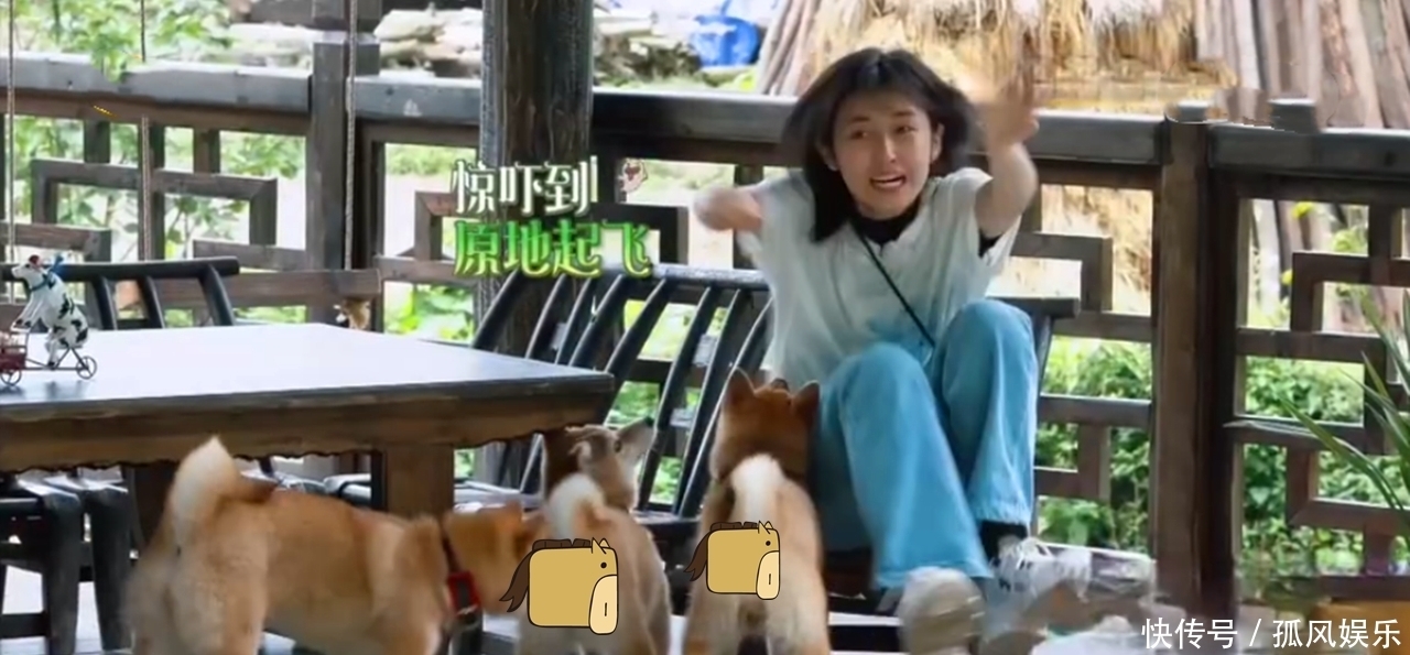 张子枫 《向往的生活》看了陈赫和李诞的奥特曼,妹妹你还相信有光吗?