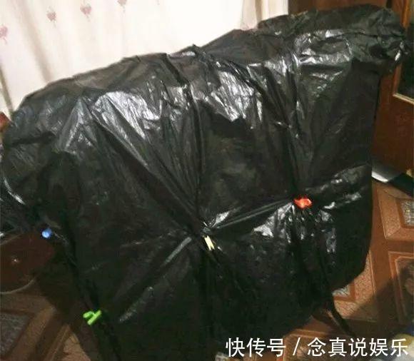 君子兰、蟹爪兰不开花给你说个小方法,天一凉快,叽里咕噜开花