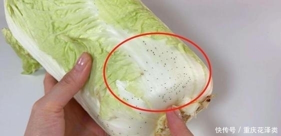 买白菜时,选白色的还是绿色的大厨教你这3点,就不会买错了