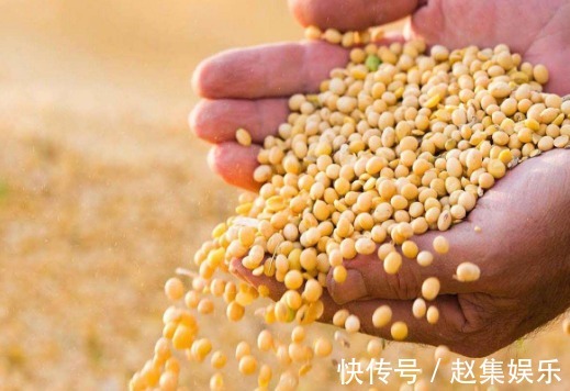 排毒养颜|黄帝内经“五谷”养五脏，怎么食用很重要，告诉你答案