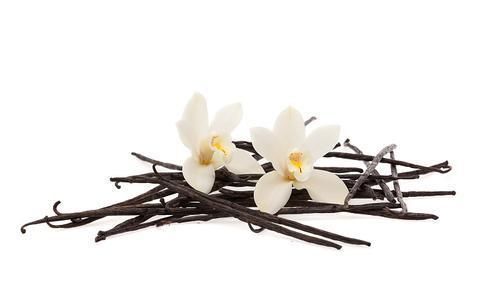 nk细胞|肾虚？91岁的老中医给你介绍一下“它”，后悔没有早点知道